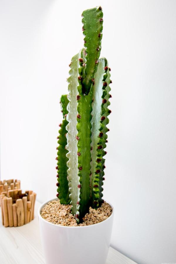 Cactus Apartment San Miguel de Abona Exterior photo