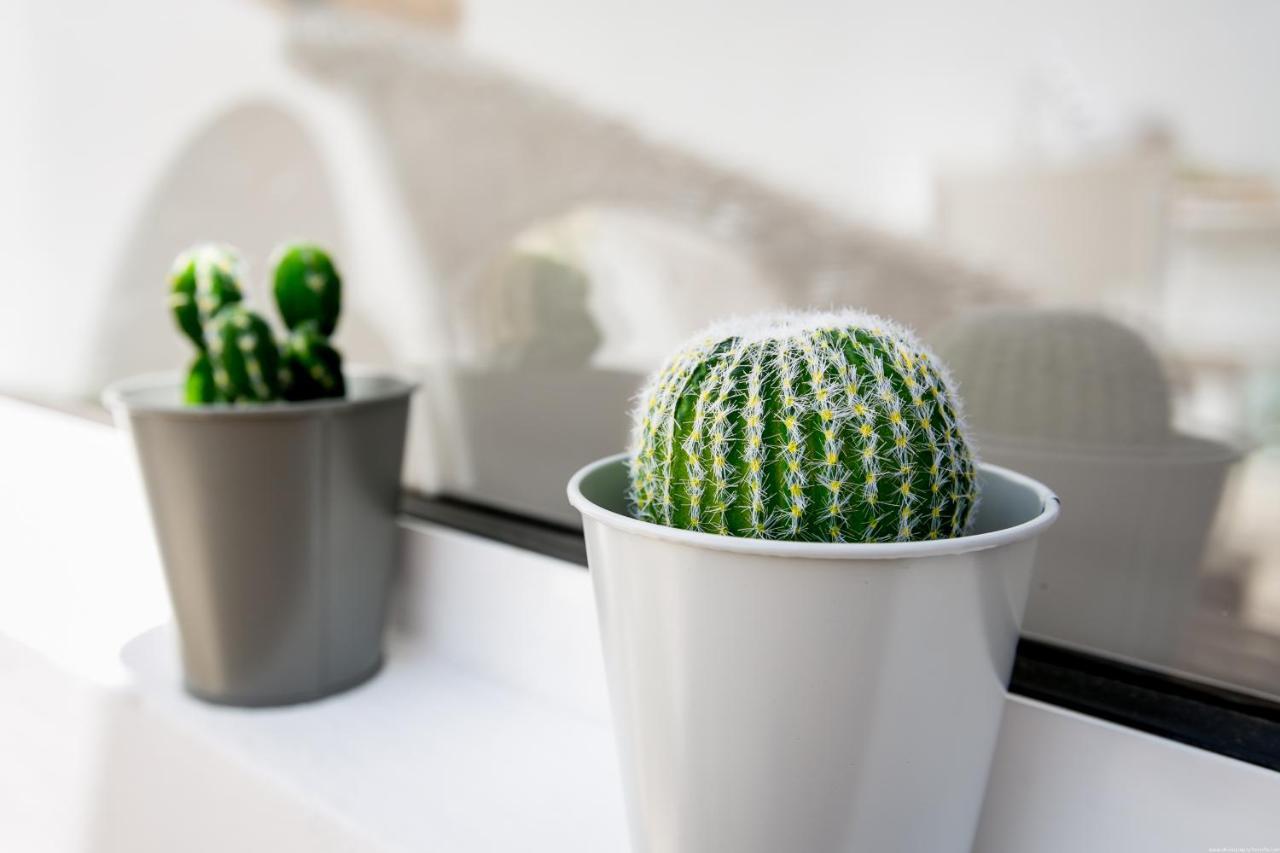 Cactus Apartment San Miguel de Abona Exterior photo