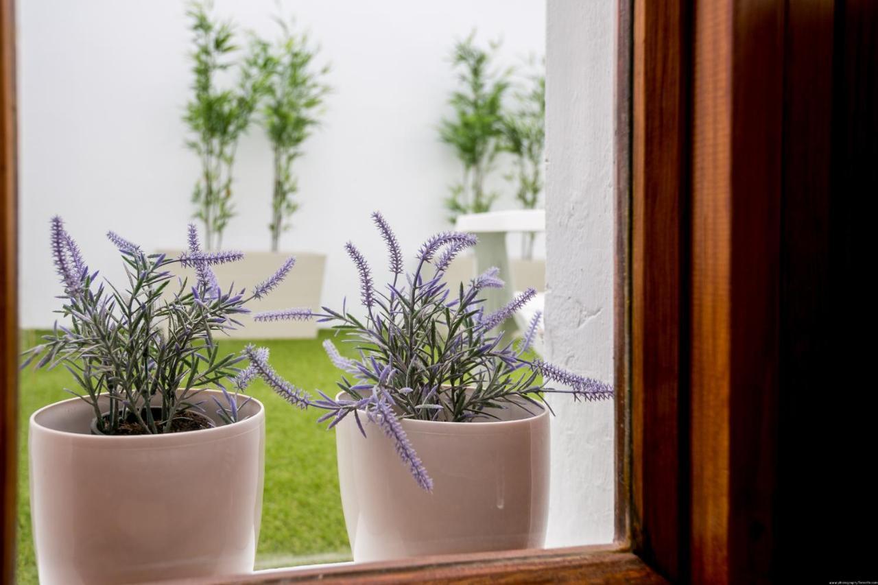 Cactus Apartment San Miguel de Abona Exterior photo